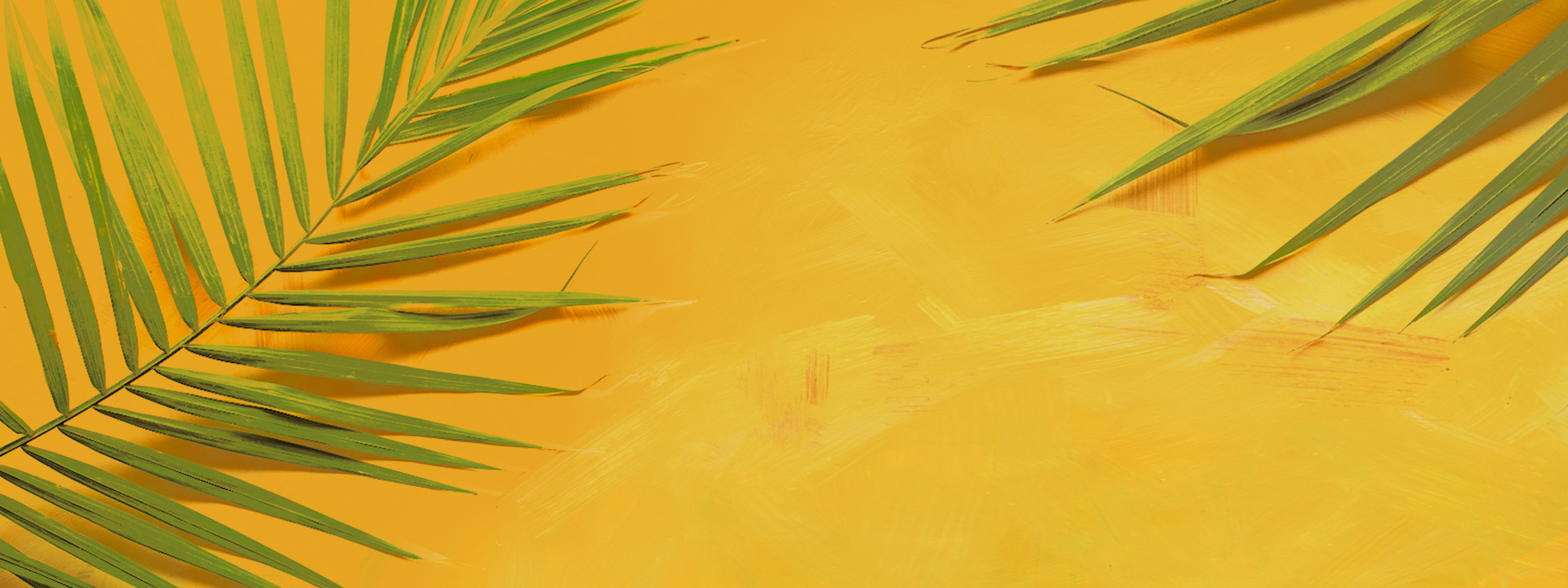 All Age Palm Sunday Service 10.45am  *All welcome*
