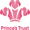 princes trust